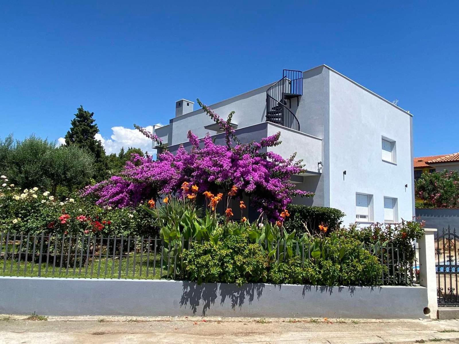 Villa Daniel Πούλα Εξωτερικό φωτογραφία